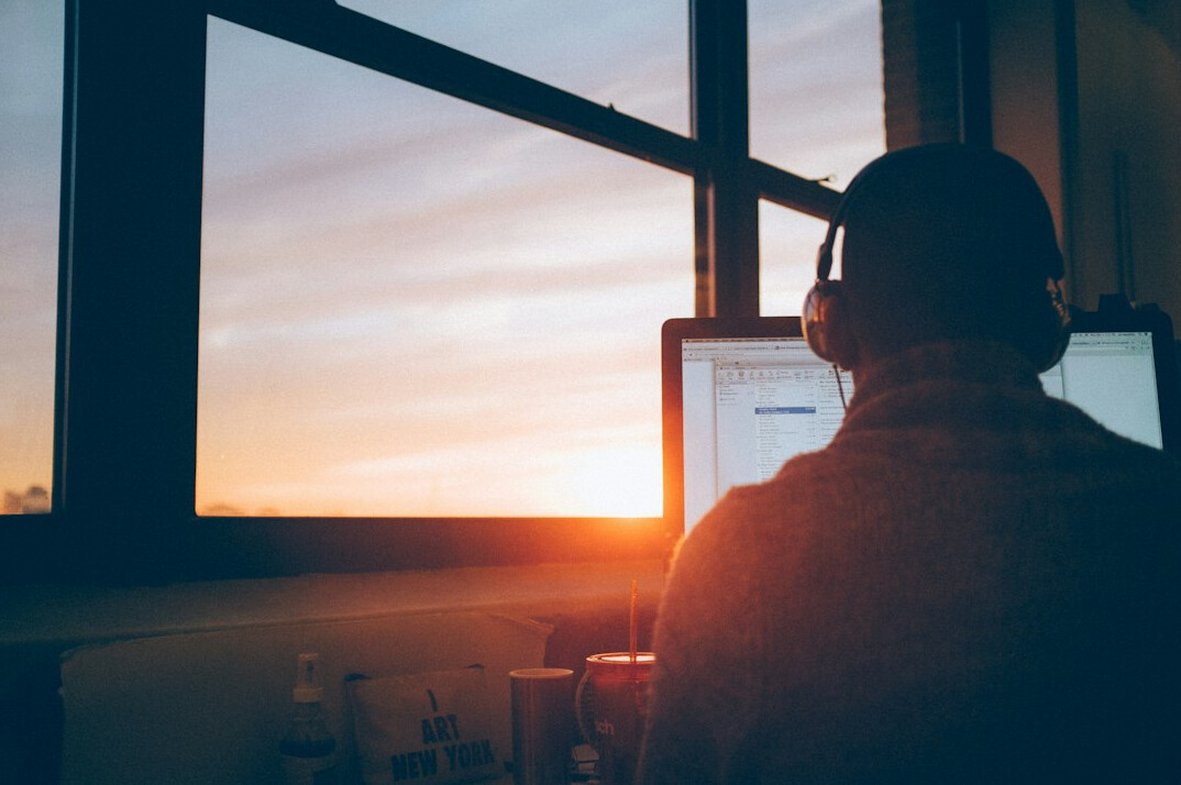 professional developer working remotely